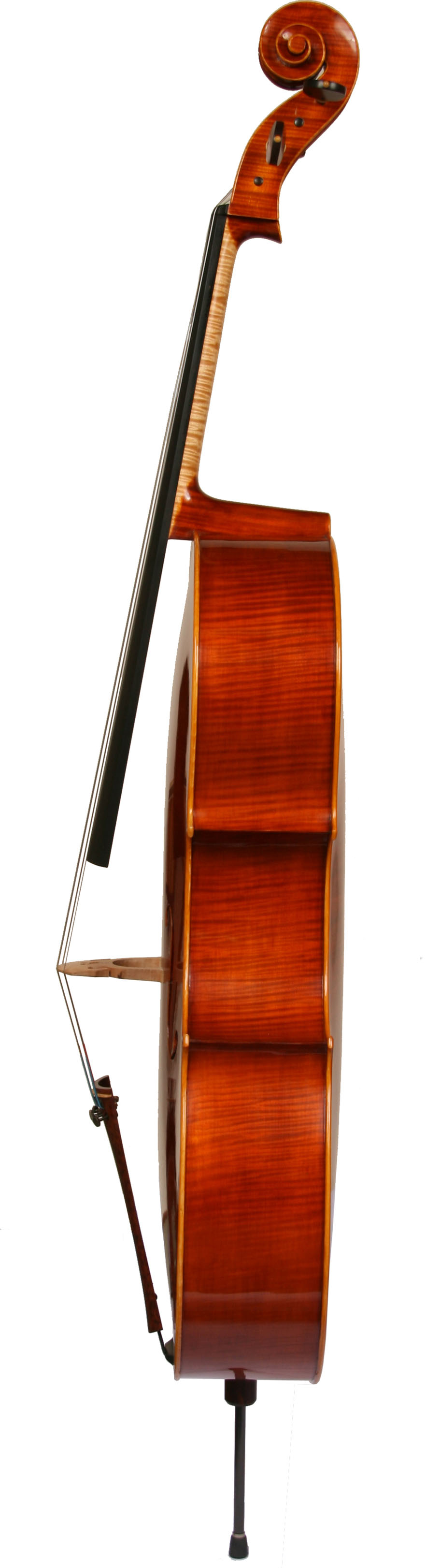 deraha-cello-2.jpg